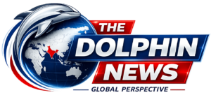 The Dolphin News