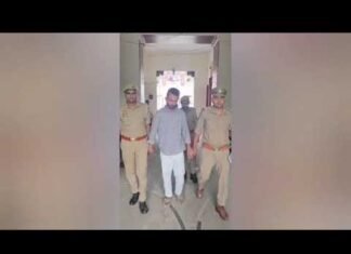 तीन अवैध पिस्टलों के साथ युवक गिरफ्तार | The Dolphin News| Kanpur| Alok Agarwal