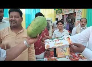 आकर्षण का केंद्र रहा ‘मोदी मैंगो’ | The Dolphin News| Kanpur| Alok Agarwal/Ashish Mishra