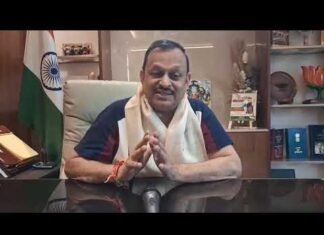 ग्रीन पार्क आयें और उत्साह के साथ मनायें क्रिकेट का जश्न| The Dolphin News| Kanpur| Alok Agarwal