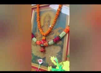 ‘इनोविजन-2026’ में आकर्षण का केंद्र रहे साइंस मॉडल| The Dolphin News| Kanpur| Alok Agarwal